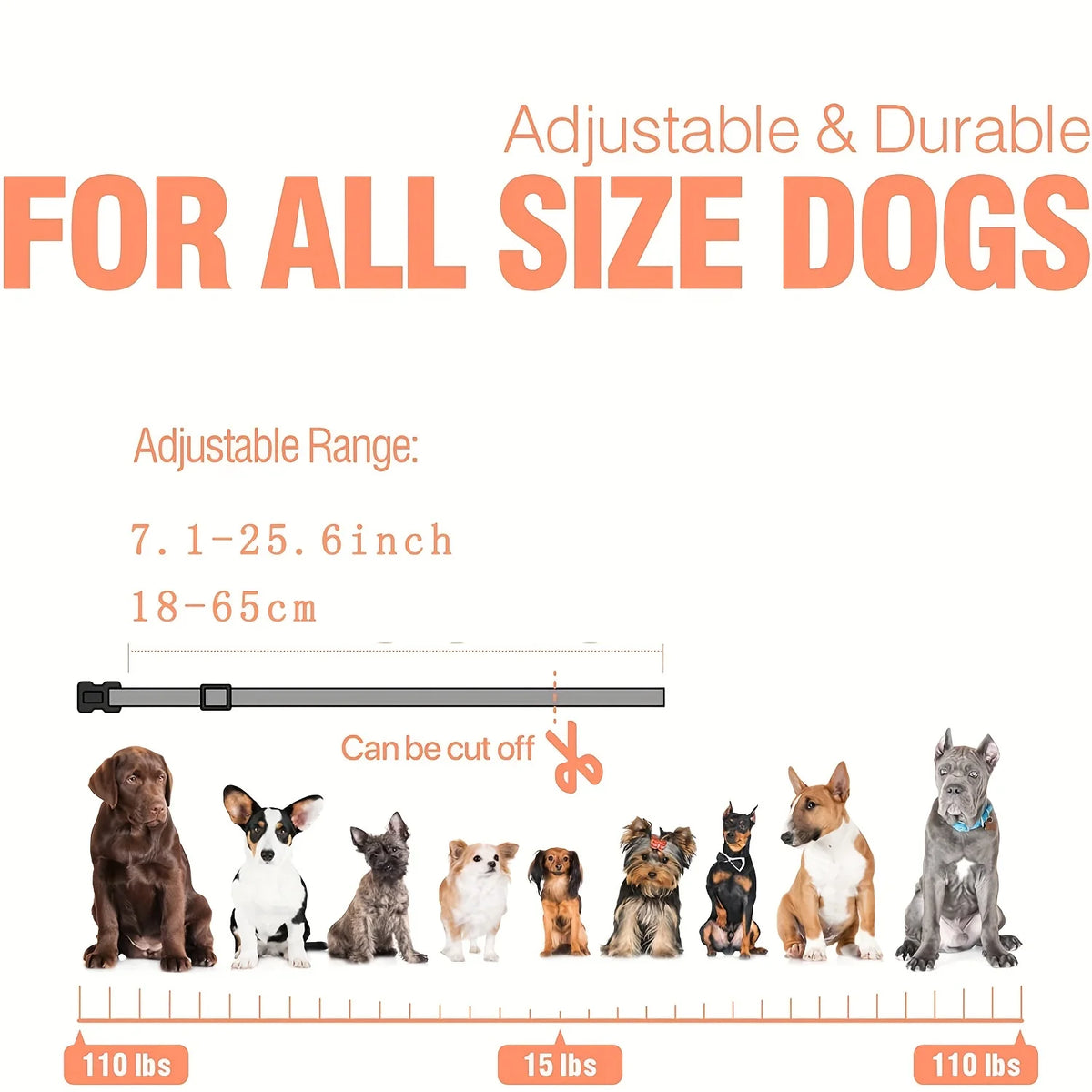 Adjustable and durable dog training collar shown with various sized dogs for reference.