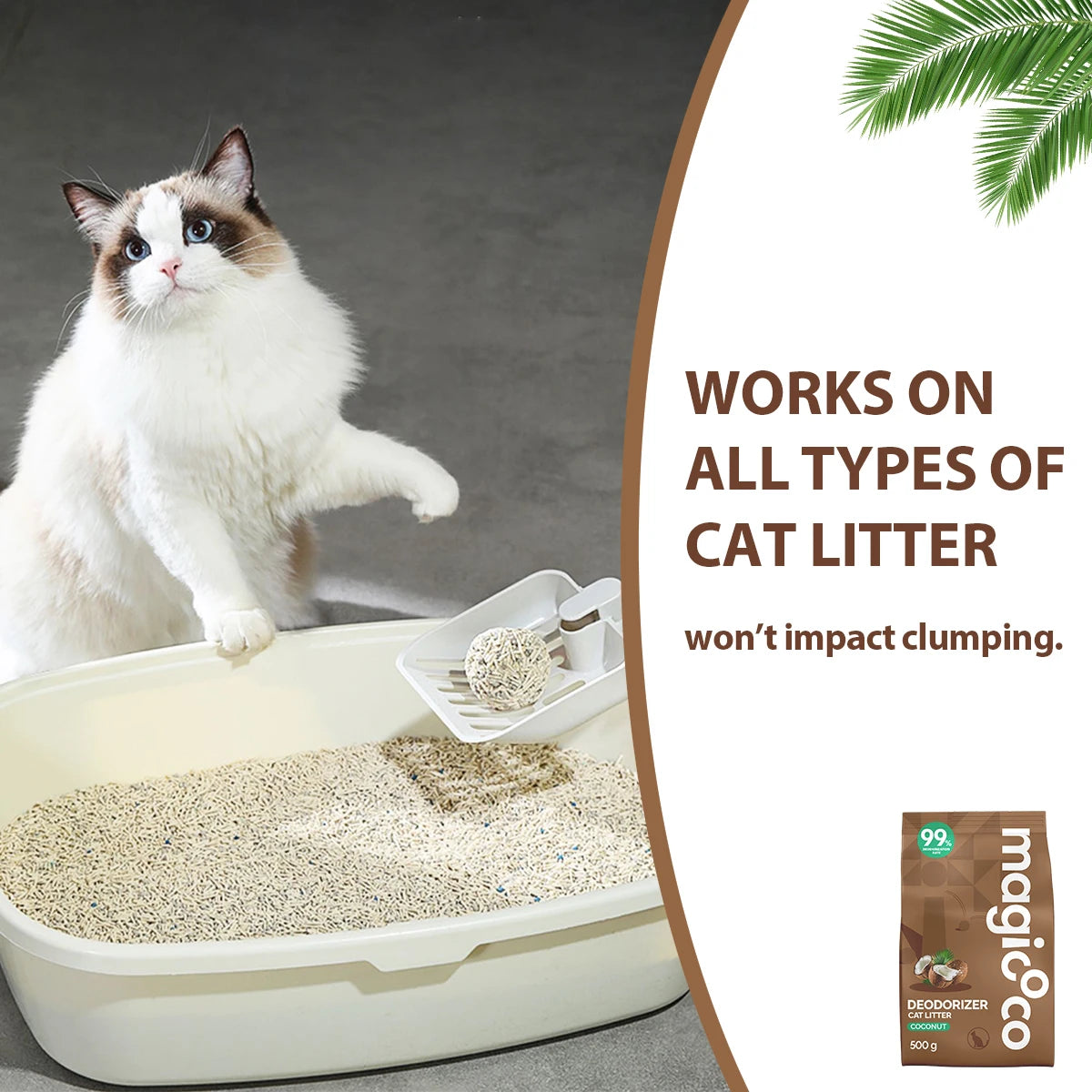 A fluffy cat sits next to a litter box filled with powder, demonstrating the use of a cat litter deodorizer.