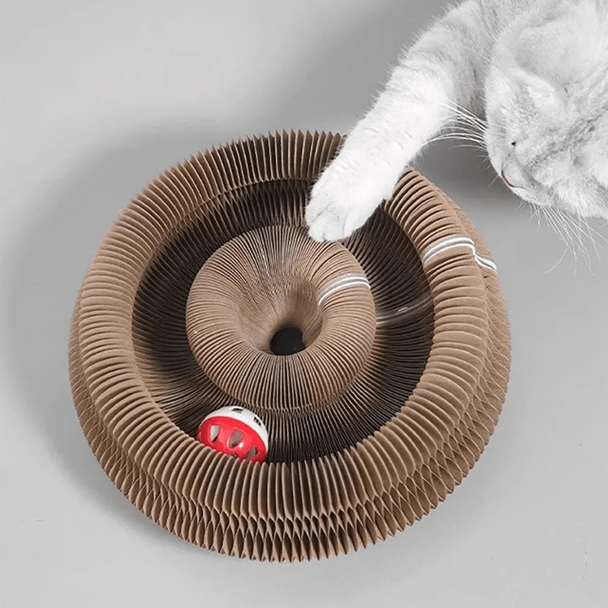 A white cat paw is interacting with a brown, pleated foldable accordion cat scratcher filled with catnip and a small bell.