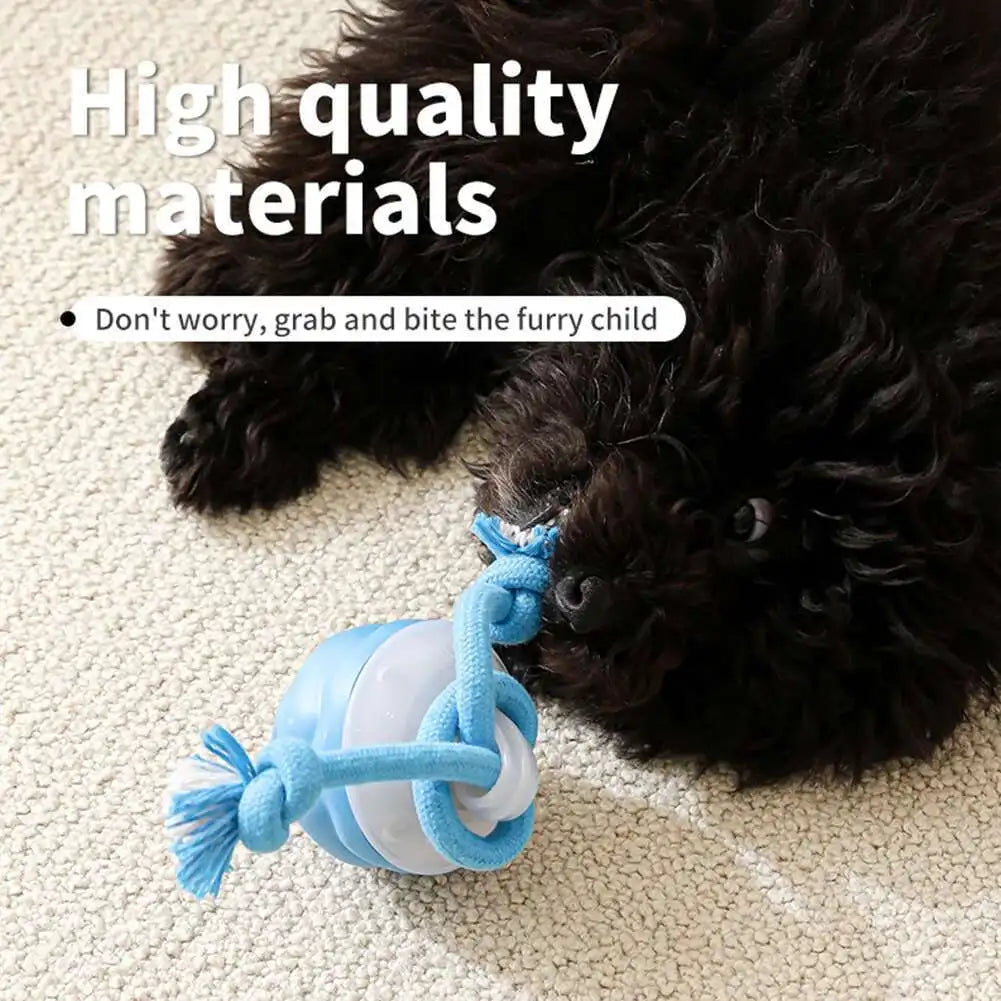 Ein blaues Seilspielzeug für ein Haustier neben einem dunklen, flauschigen Hund.