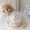 A fluffy light beige dog wearing an elegant white polka dot dress with a lace bow on a white fluffy rug.