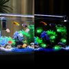 A split image showing luminous resin turtle ornaments swimming in a glass aquarium with aquatic plants and rocks.