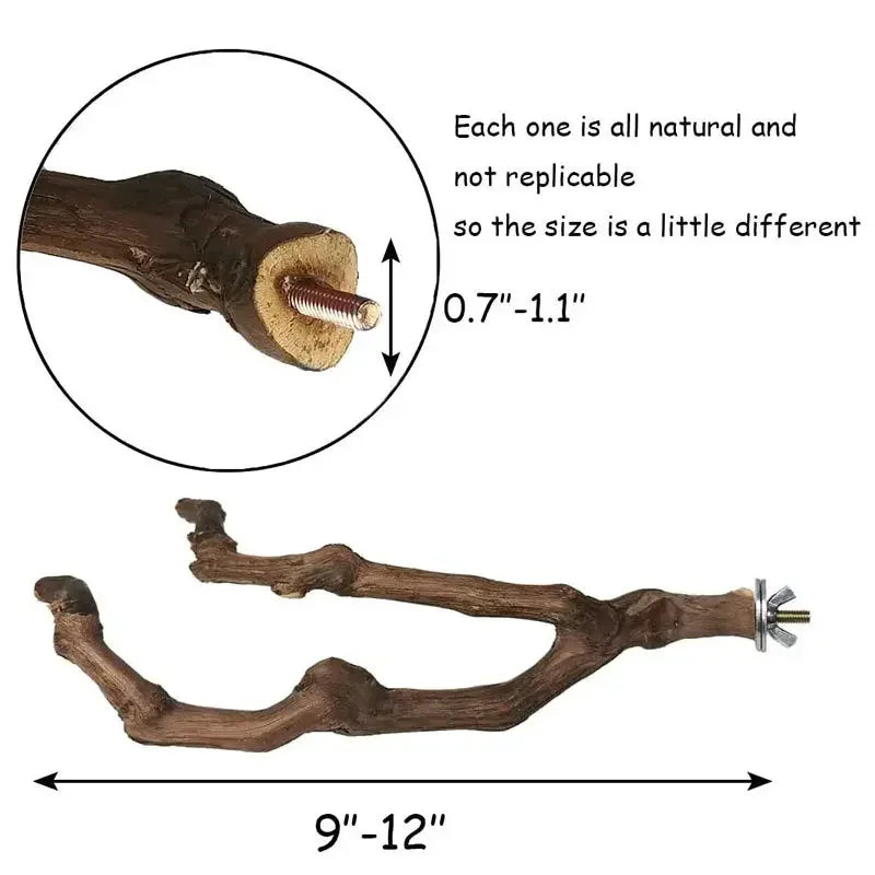 A natural wood grape branch perch showing its size range of 0.7 to 1.1 inches and length of 9 to 12 inches.