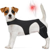A white dog wearing a black adjustable knee brace for joint support.