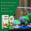 Comprimés de purification d'eau Yegbong pour aquarium avec plantes et roches.