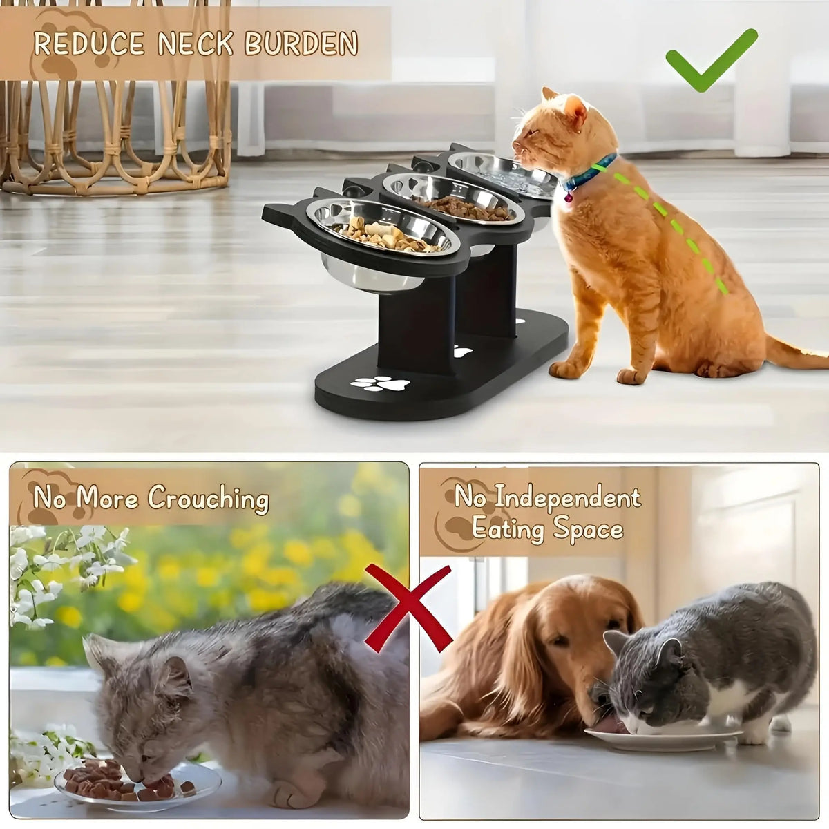 Verstellbare erhöhte Katzenfutterschale, aus der eine Katze isst, demonstriert reduzierte Nackenbelastung und kein Krümeln