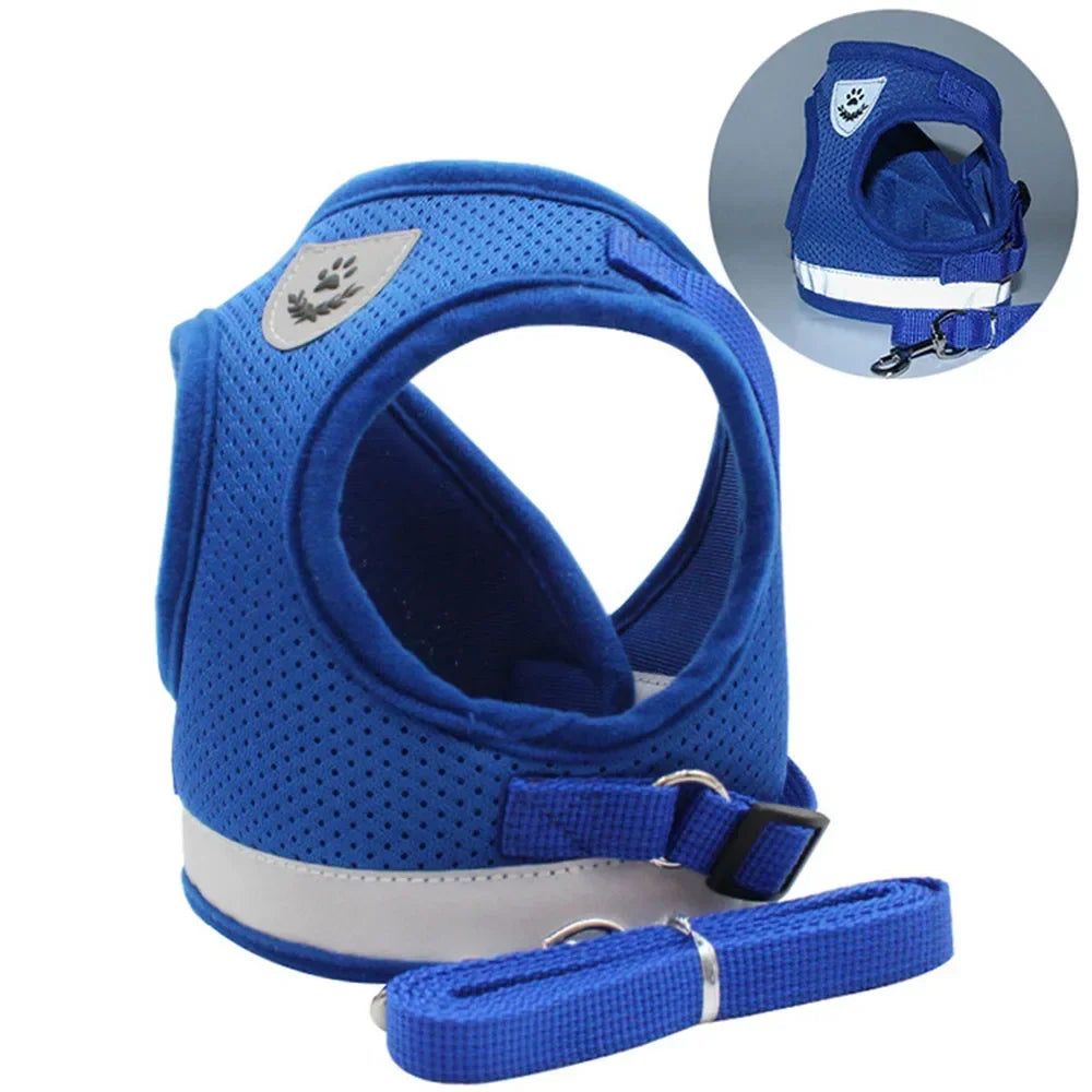 Blue adjustable reflective mesh harness for cats and small dogs with a leash
