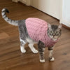 Ein tabby-Katze mit einem rosa Strickpullover in einer häuslichen Innenumgebung.