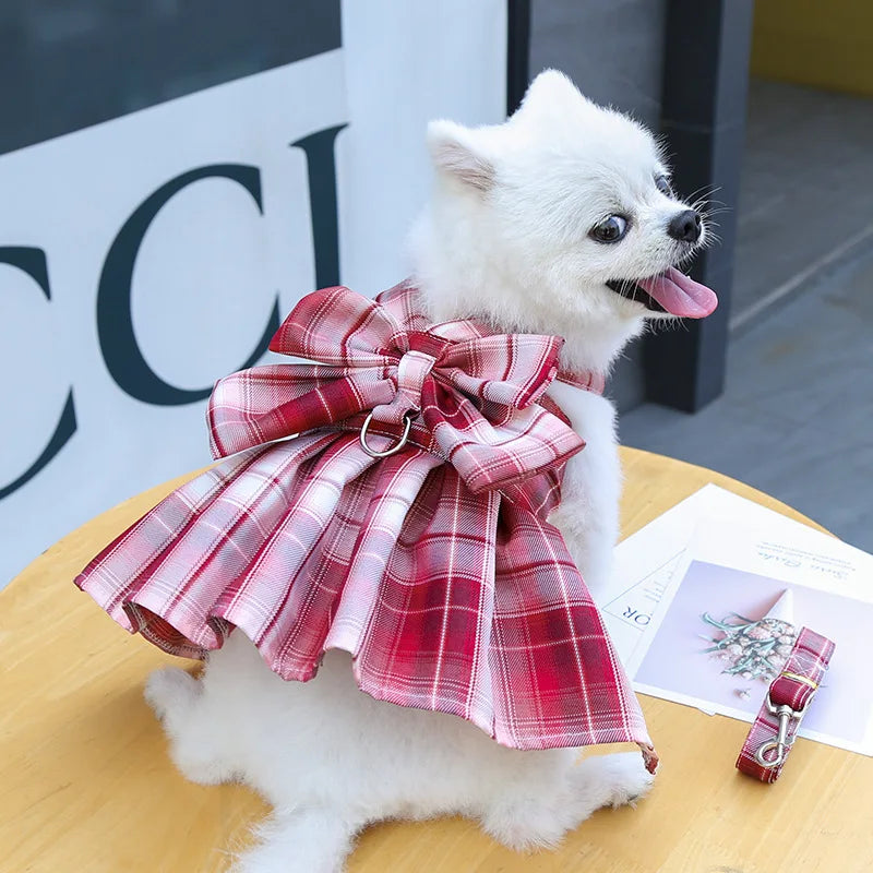 A white dog wearing a red plaid dress-up harness and clothes.