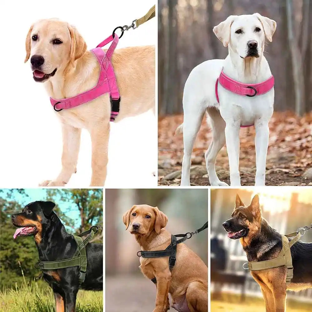 A collection of dog harnesses, including a pink tactical anti-pull harness and various tan and black harnesses.