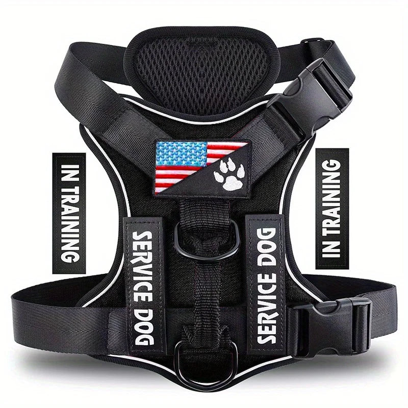 Black harness for a service dog with an American flag patch and in training label