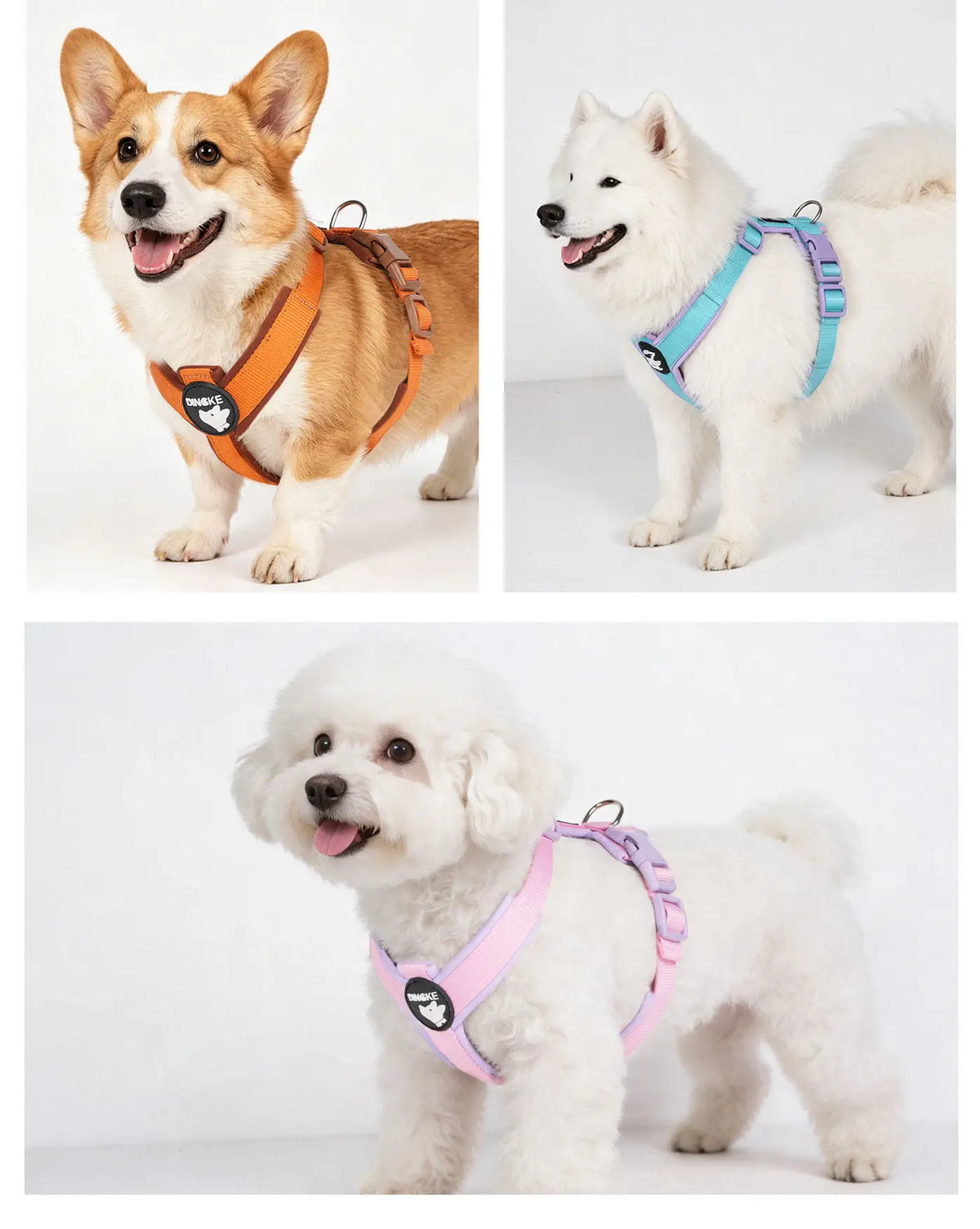 Three dogs wearing different colored breathable no-pull dog harnesses.
