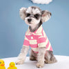 A small, fluffy dog wearing a pink and white striped polo shirt is sitting against a blue background.