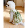 A fluffy white poodle wearing a green floral patterned summer dress with a bow.