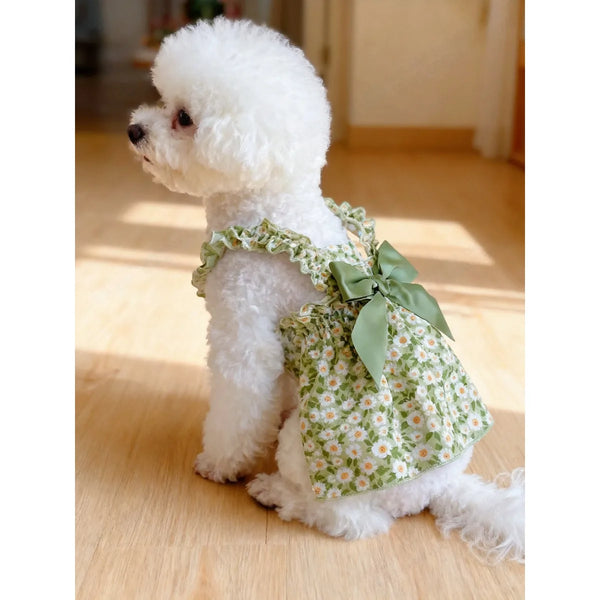 A fluffy white poodle wearing a green floral patterned summer dress with a bow.