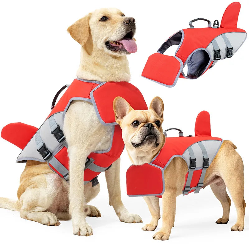 Un chien de couleur claire portant une gilet de sauvetage rouge pour la sécurité et le remorquage, avec un harnais attaché.