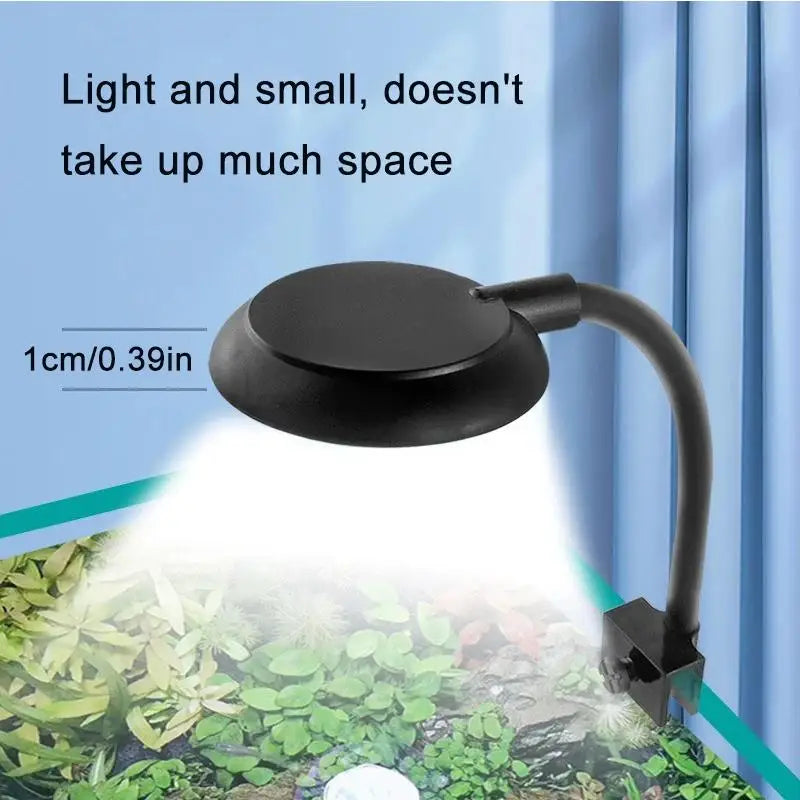 A black USB clip-on LED aquarium light illuminates aquatic plants on a surface.