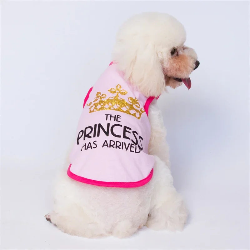 Weiße Sphynx-Katze in rosa Weste mit goldener Kronenstickerei und dem Text: Die Prinzessin ist angekommen