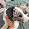 A person is holding a gray and white dog's head with a black noise reduction ear muff on it.
