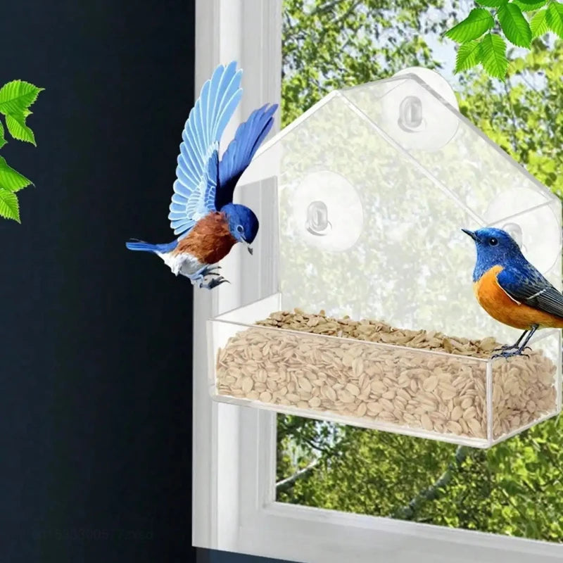 A clear window hanging bird feeder with a wooden tray filled with seeds, featuring a blue and orange bird perched on the edge