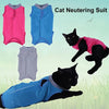 A pink cat neutering suit and a blue one are shown alongside a black cat wearing a pink suit and a blue suit in an outdoor se
