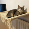 A gray tabby cat is resting on a natural wooden wall shelf with fringed fabric.