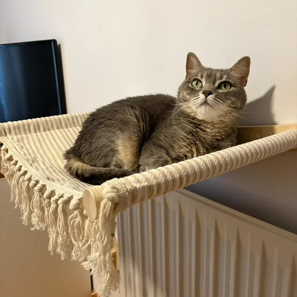 A gray tabby cat is resting on a natural wooden wall shelf with fringed fabric.
