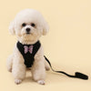 A fluffy white dog wearing a black butterfly pet harness set.
