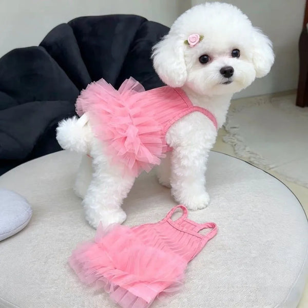 A white poodle wearing a pink ruffled slip dress sitting on a light-colored surface.