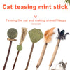 A collection of cat teasing mint sticks in various natural colors and textures for cat play.