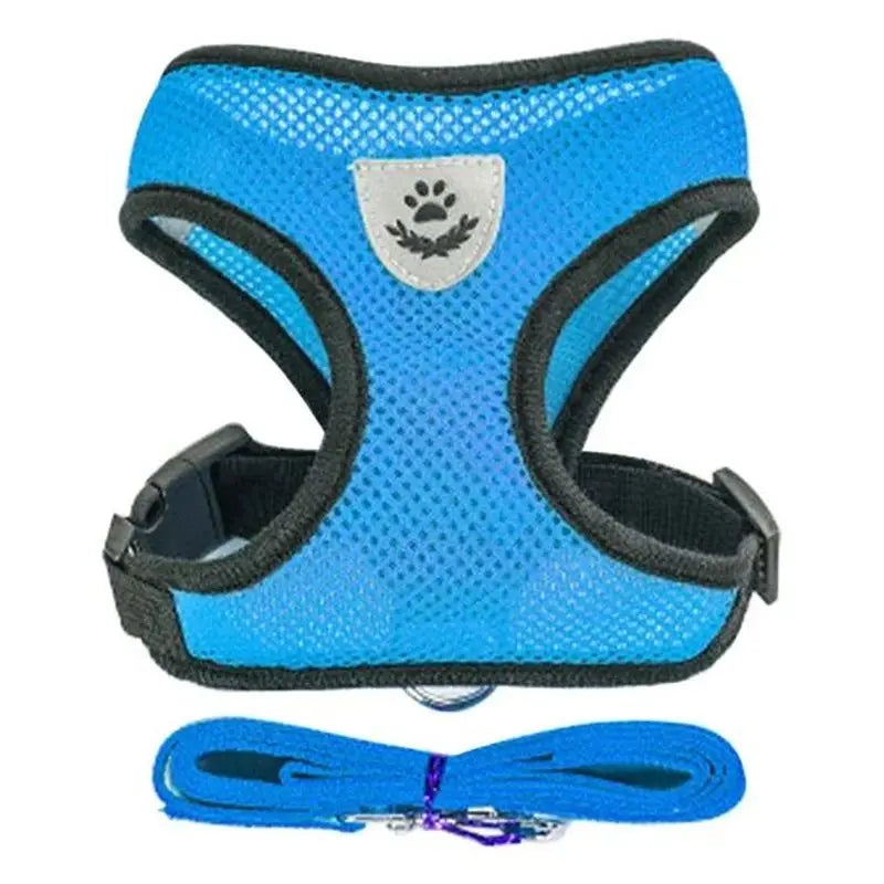 Set de arnés y correa para mascota azul con correa negra y material de malla.