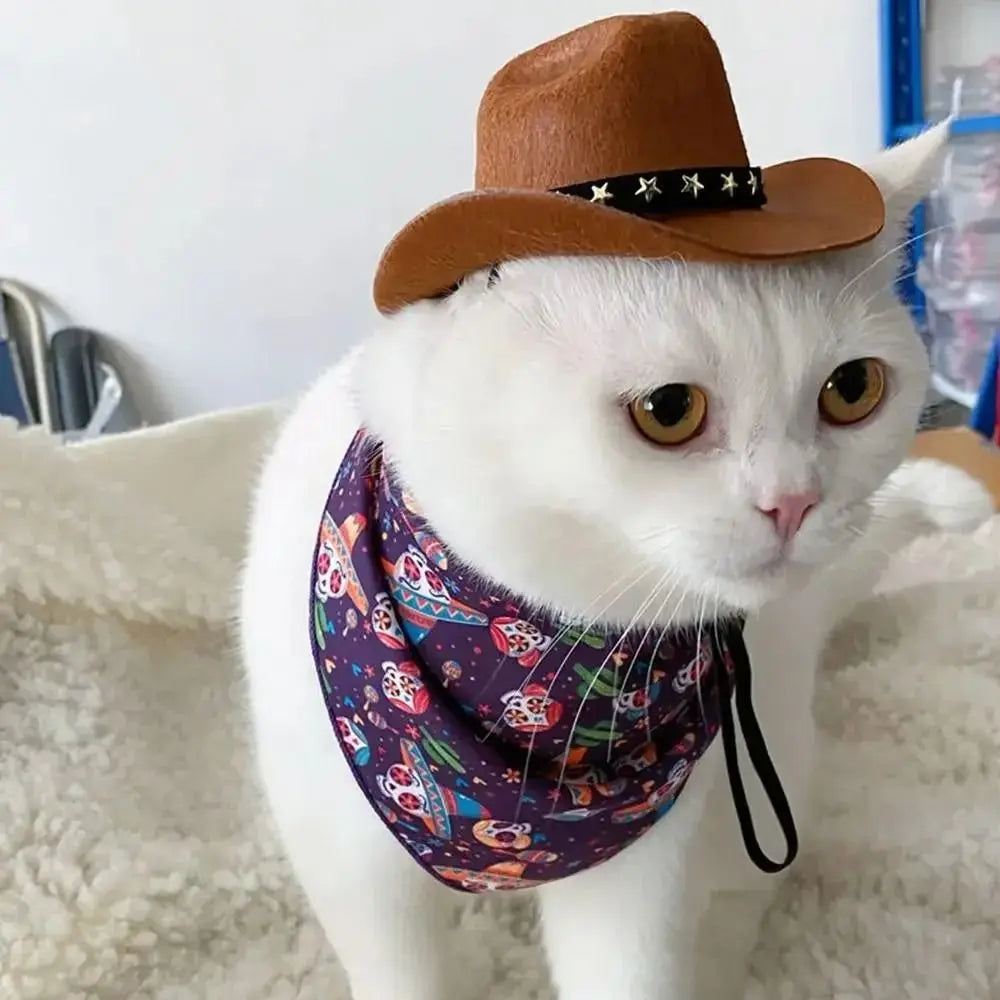 A white cat wearing a purple patterned bandana and an adjustable brown cowboy hat