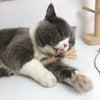 A gray and white cat is lying down and chewing on a natural silvervine cat chew toy.