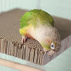A small green and yellow bird perching on a brown corrugated cardboard perch stand.