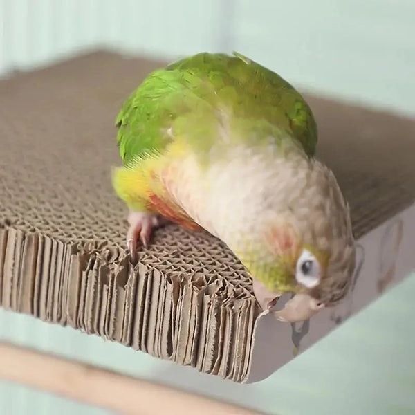 A small green and yellow bird perching on a brown corrugated cardboard perch stand.