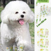 White poodle wearing a green and yellow self-adhesive dog paw bandage for clean paws.