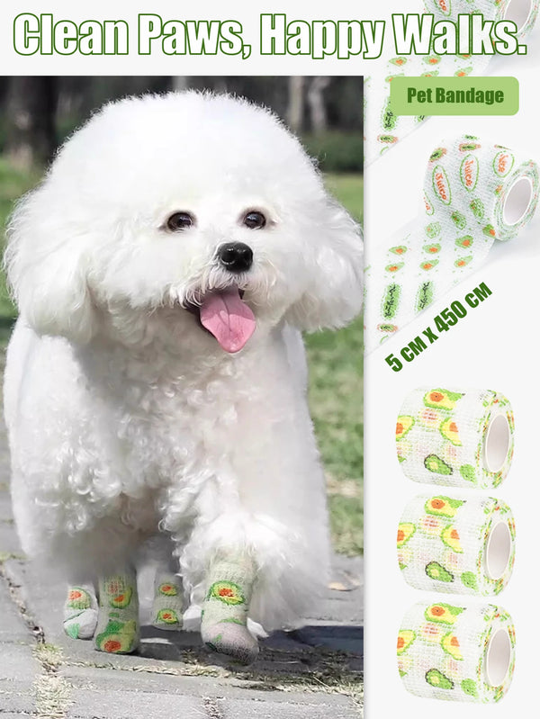 White poodle wearing a green and yellow self-adhesive dog paw bandage for clean paws.