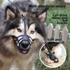 A husky wearing a multi-directional secure fit muzzle for safe chewing control.