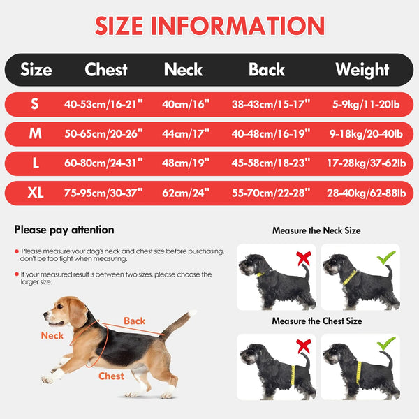 Tabla e ilustraciones de medidas para un chaleco salvavidas para perros.