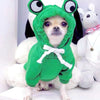 A small dog wearing a green frog pet sweater with large eyes and white fur.