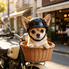 Un perro pequeño y peludo con un casco de seguridad negro sentado en una motocicleta vintage.