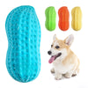 Ein leuchtend blaues, strukturiertes Spielzeug für Haustiere neben einem kleinen braunen Hund.