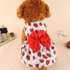 Ein flauschiger brauner Hund trägt ein elegantes rotes und weißes Erdbeermusterkleid mit einer großen roten Schleife.