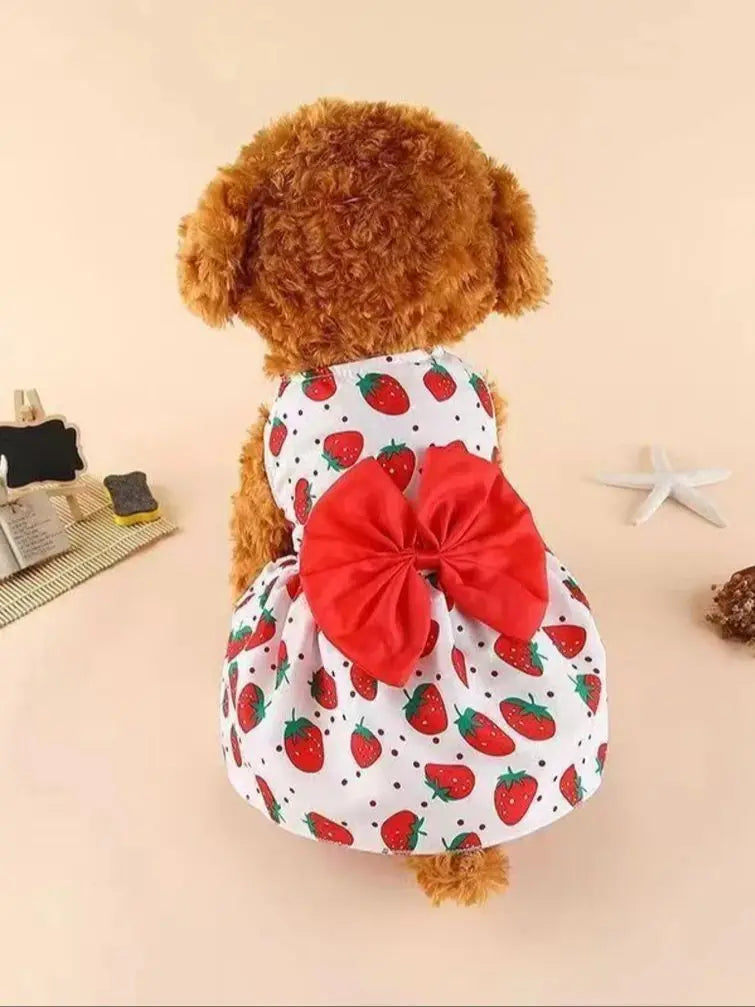 Ein flauschiger brauner Hund trägt ein elegantes rotes und weißes Erdbeermusterkleid mit einer großen roten Schleife.