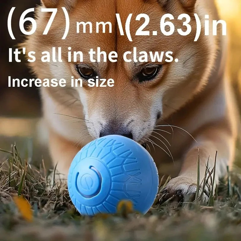 Ein Hund interagiert mit einem blauen Spielball auf dem Boden.