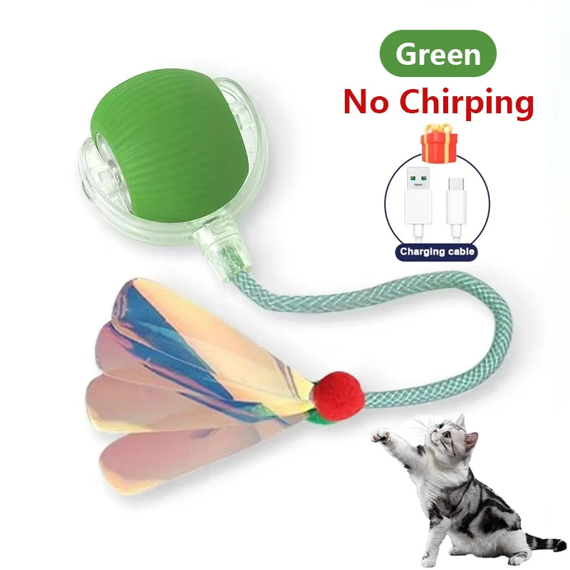 Grüßer elektrischer Spielball für Katzen mit flexibler Ladekabel und farbiger Federangabe.