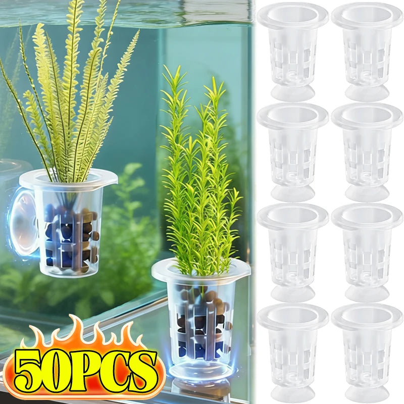 50 pieces of clear plastic aquarium planting cups for freshwater fish tanks