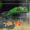 Une tortue se prélaisse sur une plateforme verte dans un aquarium, avec des poissons rouges nageant sous l'eau.