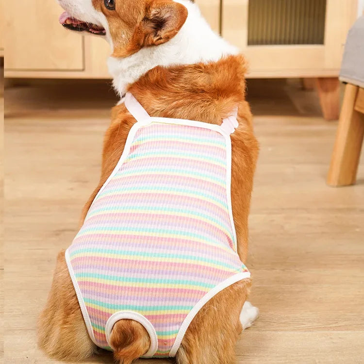 Französische Bulldogge mit pink-weiß gestreiftem, verstellbarem Pet-Tragevest.