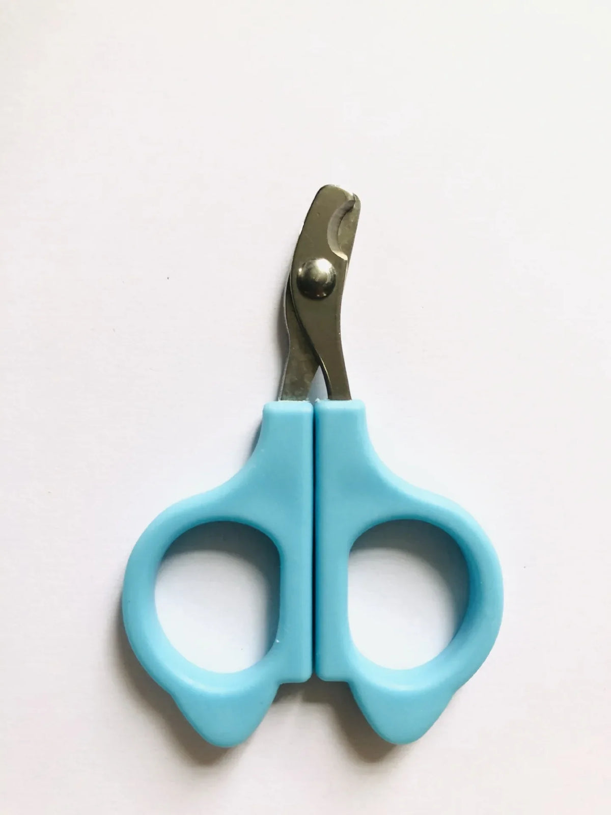 A pair of light blue professional pet nail clippers and trimmers with silver blades.